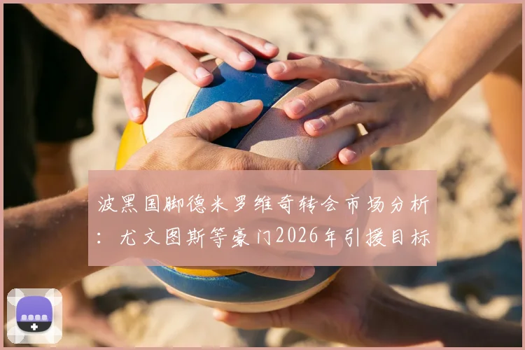 波黑国脚德米罗维奇转会市场分析：尤文图斯等豪门2026年引援目标，技术特点与身价预估详解