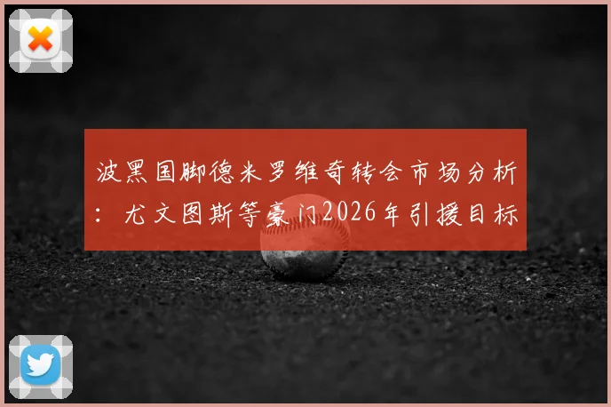 波黑国脚德米罗维奇转会市场分析：尤文图斯等豪门2026年引援目标，技术特点与身价预估详解